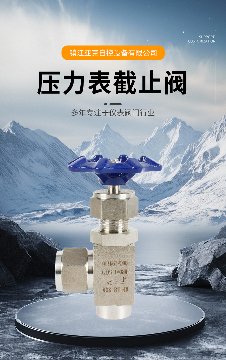 压力表截止阀