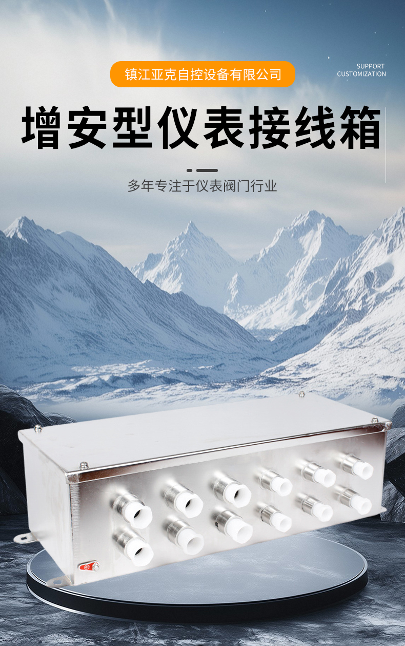 增安型仪表接线箱