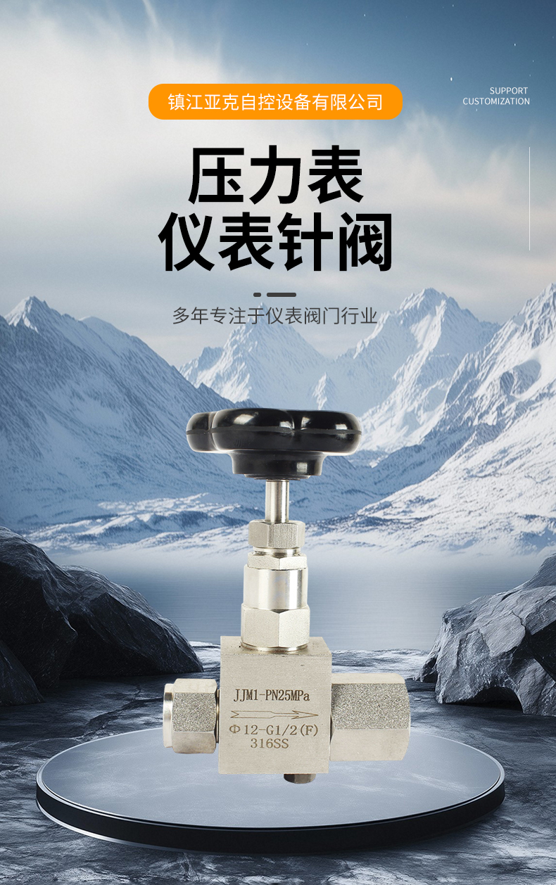 压力表仪表针阀